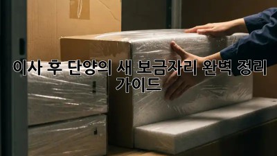 이사 후, 단양의 새 보금자리 완벽 정리 가이드