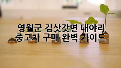 영월군 김삿갓면 대야리 중고차 구매 완벽 가이드