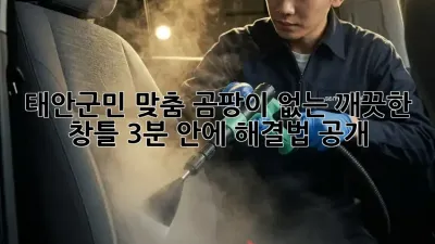 🏡 태안군민 맞춤! 곰팡이 없는 깨끗한 창틀, 3분 안에 해결법 공개!